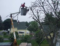 Our crew has extensive experience using our boom-lift truck. This enables us to remove branches carefully.